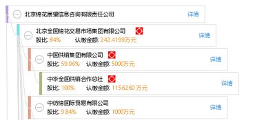 北京棉花展望信息咨询有限责任公司 深耕信息技术咨询服务的专业伙伴
